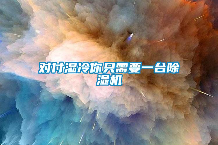 对付湿冷你只需要一台麻豆视频黄网站