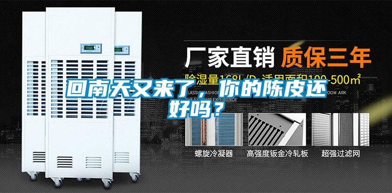 回南天又来了，你的陈皮还好吗？