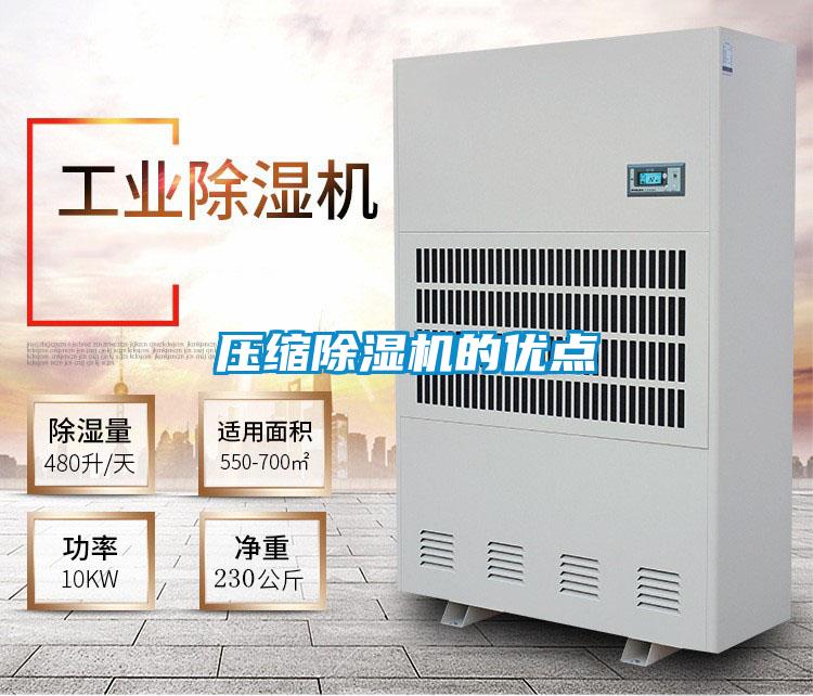 压缩麻豆视频黄网站的优点