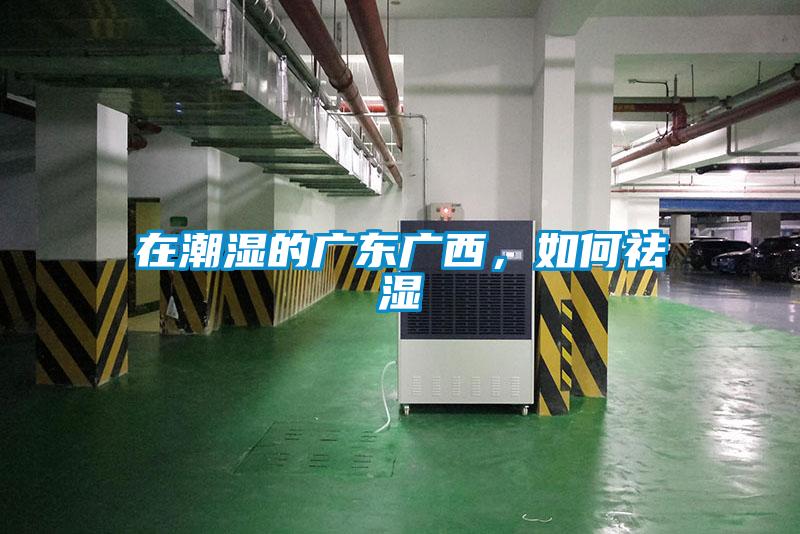 在潮湿的广东广西，如何祛湿