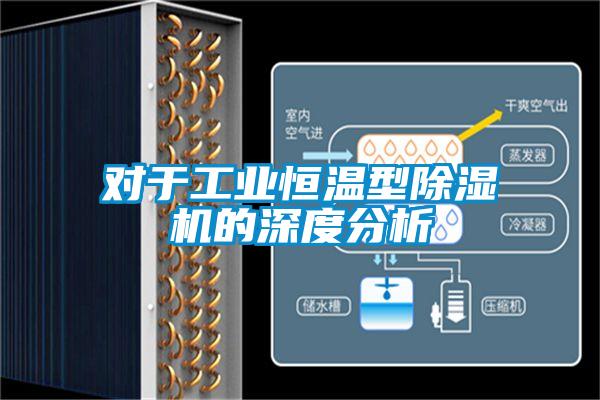 对于工业恒温型麻豆视频黄网站的深度分析