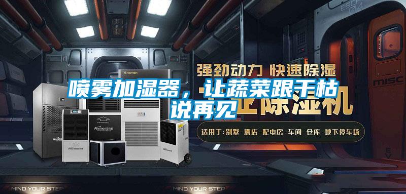 喷雾加湿器，让蔬菜跟干枯说再见