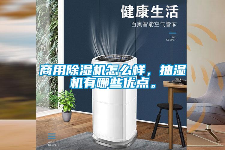 商用麻豆视频黄网站怎么样，抽湿机有哪些优点。