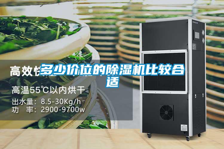 多少价位的麻豆视频黄网站比较合适