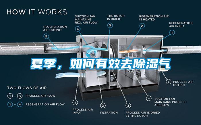 夏季，如何有效去除湿气