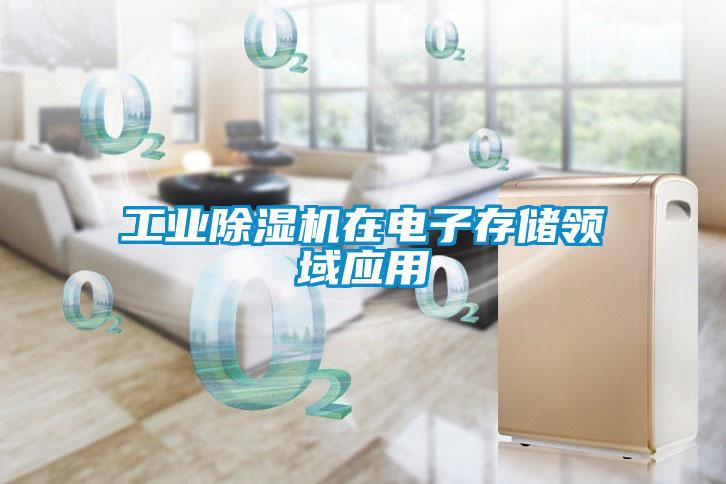 工业麻豆视频黄网站在电子存储领域应用