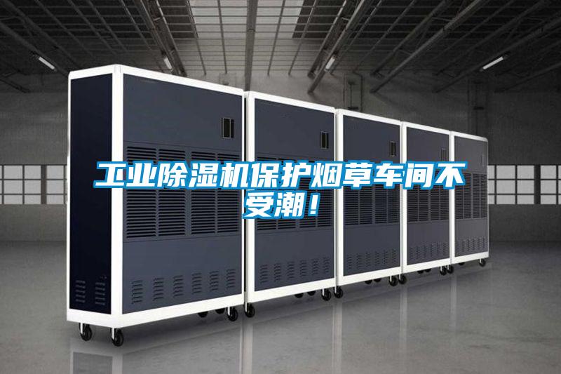 工业麻豆视频黄网站保护烟草车间不受潮！