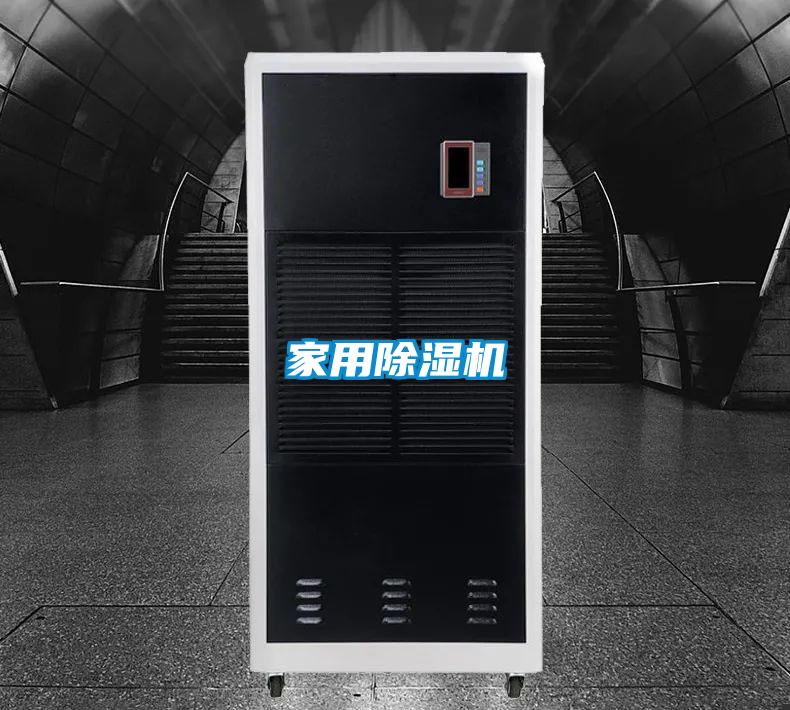 家用麻豆视频黄网站
