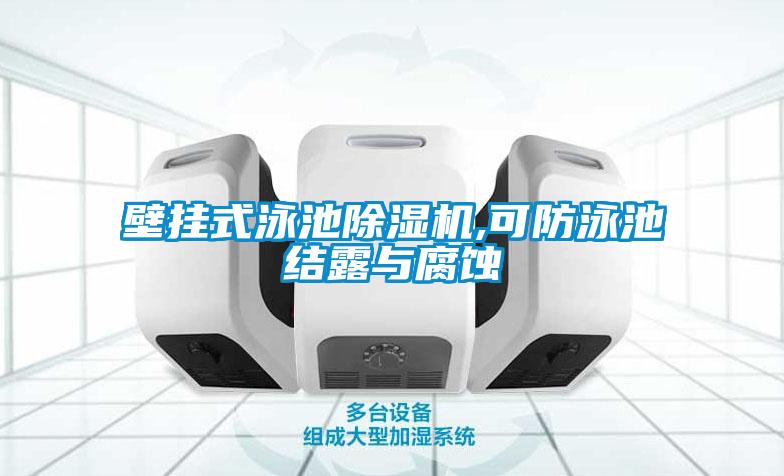 壁挂式泳池麻豆视频黄网站,可防泳池结露与腐蚀