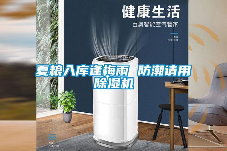 夏粮入库逢梅雨 防潮请用麻豆视频黄网站