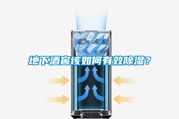 地下酒窖该如何有效除湿？