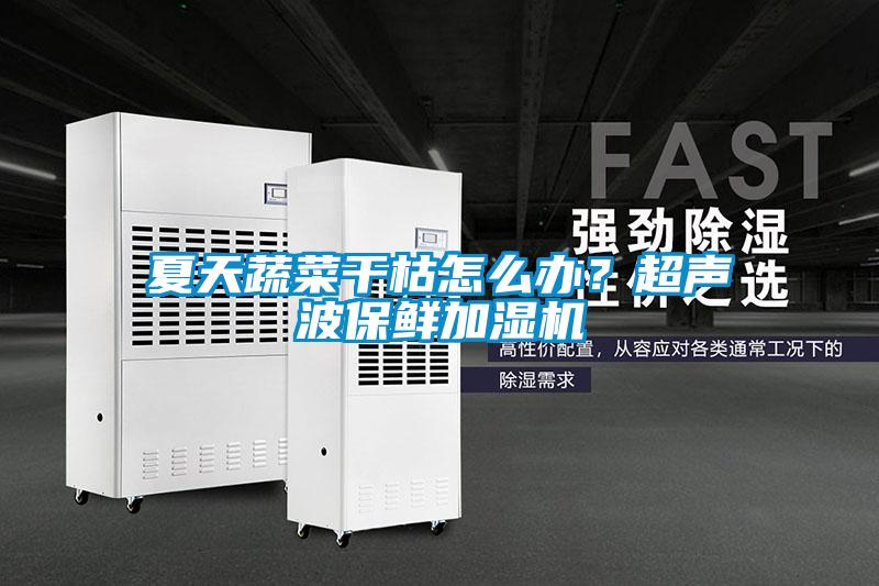 夏天蔬菜干枯怎么办？超声波保鲜加湿机