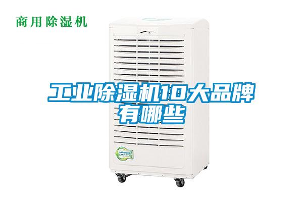 工业麻豆视频黄网站10大品牌有哪些