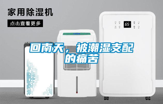 回南天，被潮湿支配的痛苦