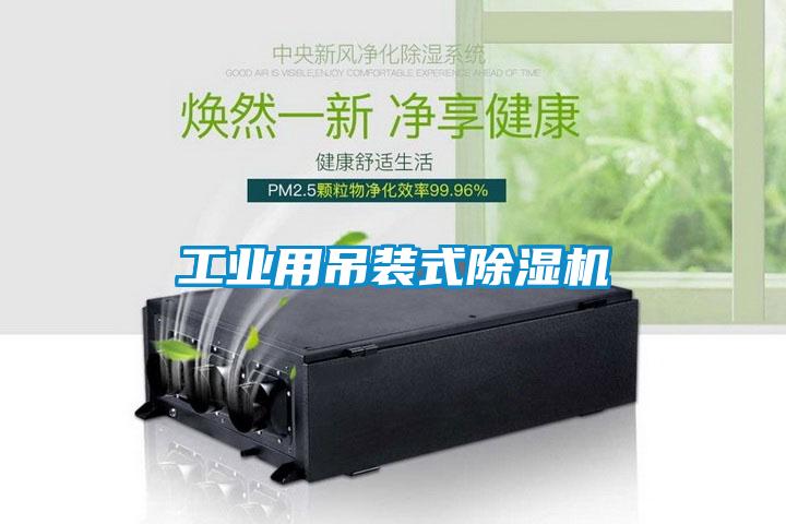工业用吊装式麻豆视频黄网站