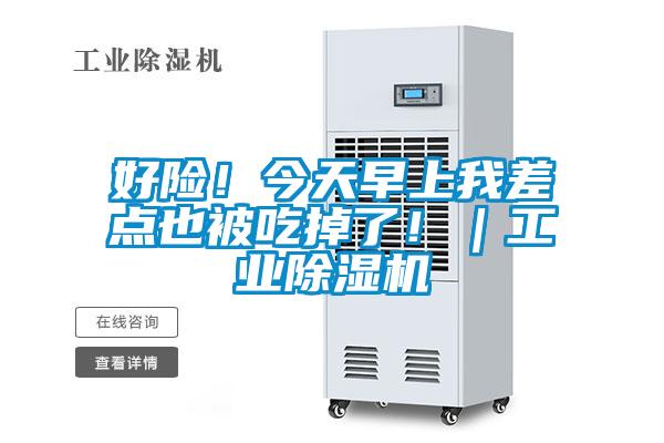 好险！今天早上我差点也被吃掉了！｜工业麻豆视频黄网站