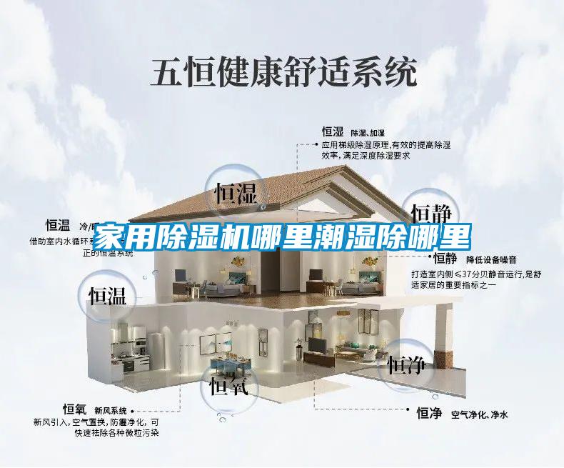 家用麻豆视频黄网站哪里潮湿除哪里