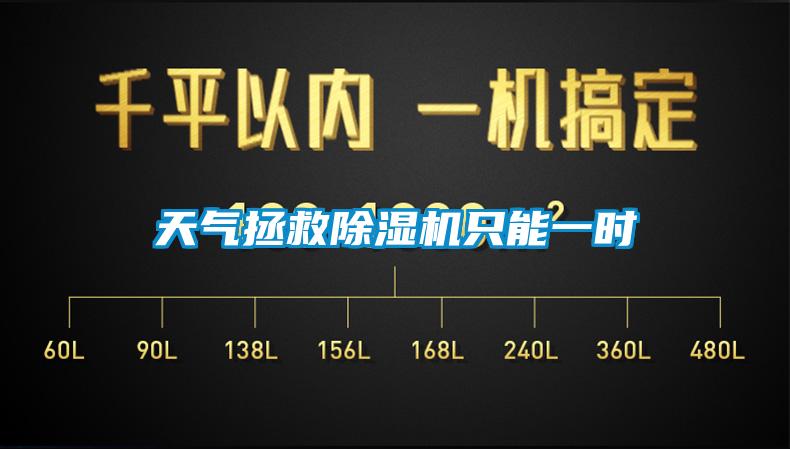 天气拯救麻豆视频黄网站只能一时