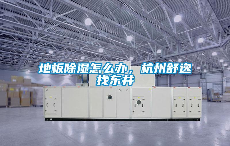 地板除湿怎么办，杭州舒逸找东井
