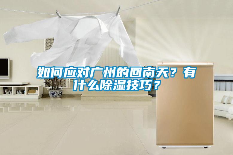如何应对广州的回南天？有什么除湿技巧？