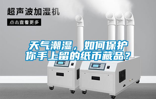 天气潮湿，如何保护你手上留的纸币藏品？