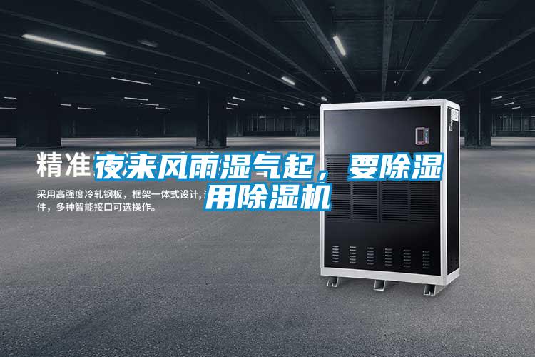 夜来风雨湿气起，要除湿用麻豆视频黄网站