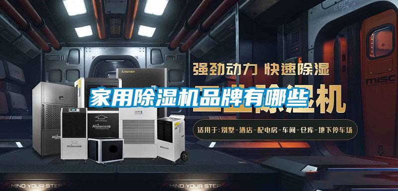 家用麻豆视频黄网站品牌有哪些