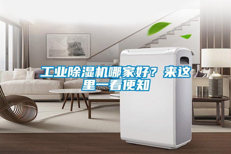 工业麻豆视频黄网站哪家好？来这里一看便知