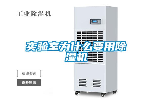 实验室为什么要用麻豆视频黄网站