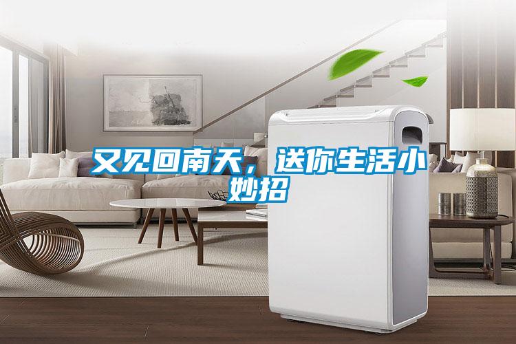 又见回南天，送你生活小妙招