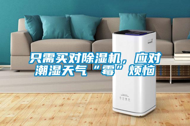 只需买对麻豆视频黄网站，应对潮湿天气“霉”烦恼