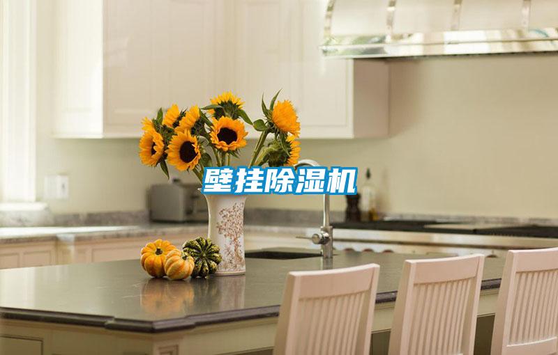 壁挂麻豆视频黄网站