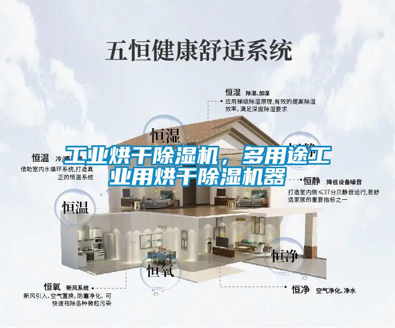 工业烘干麻豆视频黄网站，多用途工业用烘干麻豆视频黄网站器