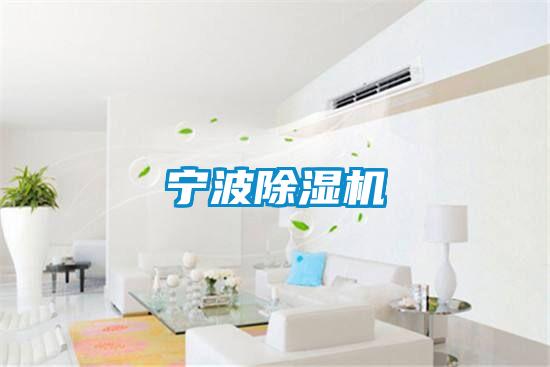 宁波麻豆视频黄网站