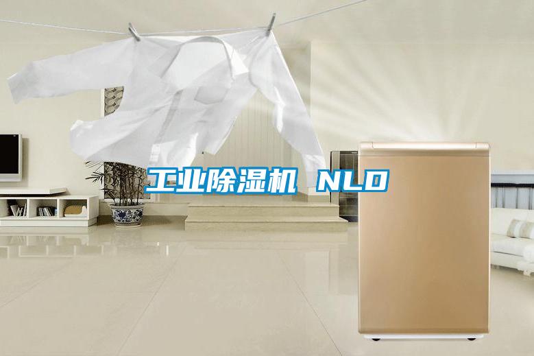 工业麻豆视频黄网站 NLD