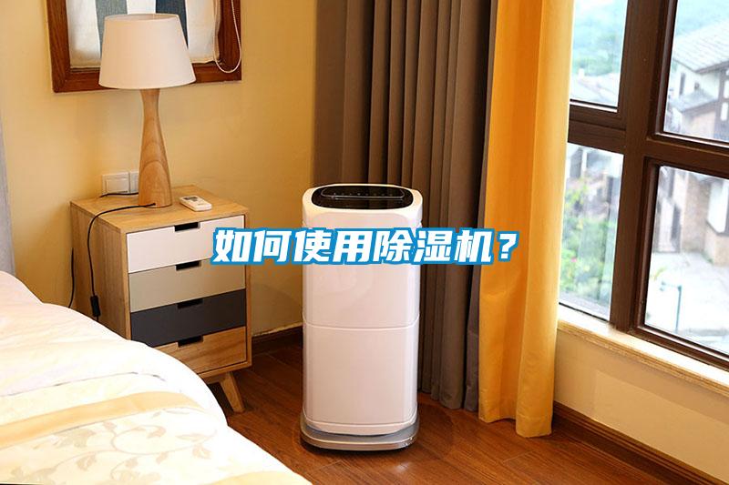 如何使用麻豆视频黄网站？
