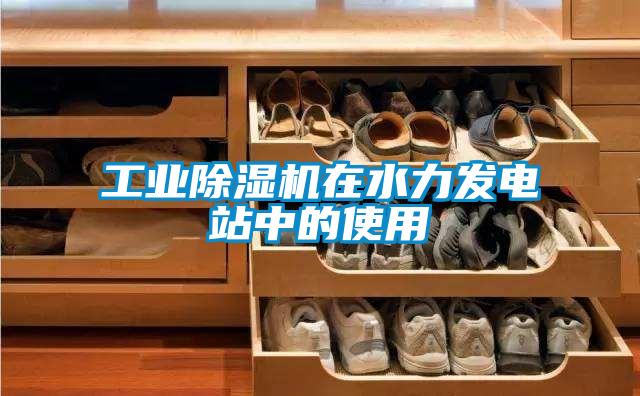 工业麻豆视频黄网站在水力发电站中的使用