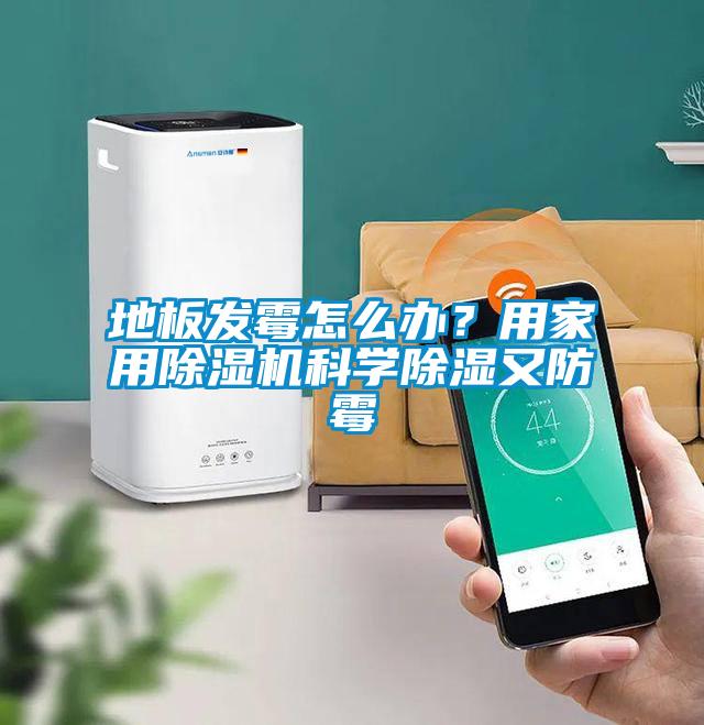 地板发霉怎么办？用家用麻豆视频黄网站科学除湿又防霉