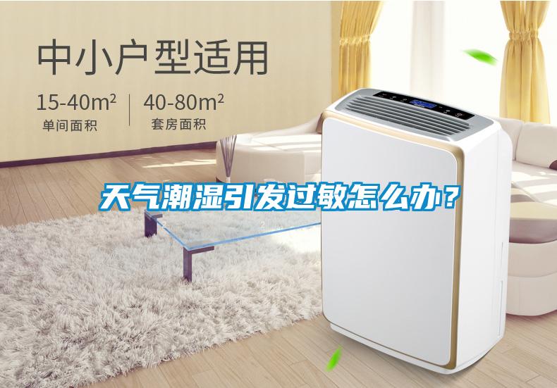 天气潮湿引发过敏怎么办？