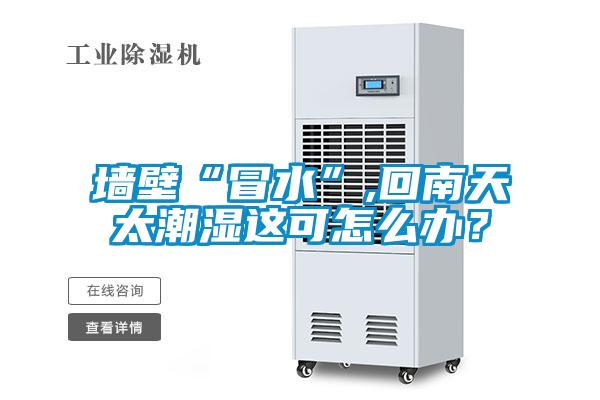 墙壁“冒水”,回南天太潮湿这可怎么办？