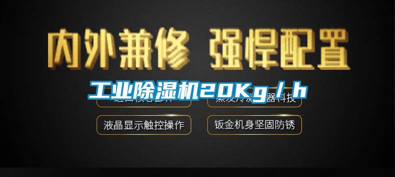 工业麻豆视频黄网站20Kg／h