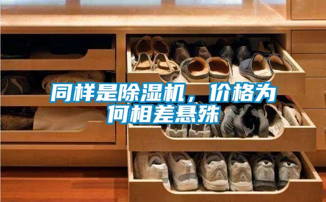 同样是麻豆视频黄网站，价格为何相差悬殊