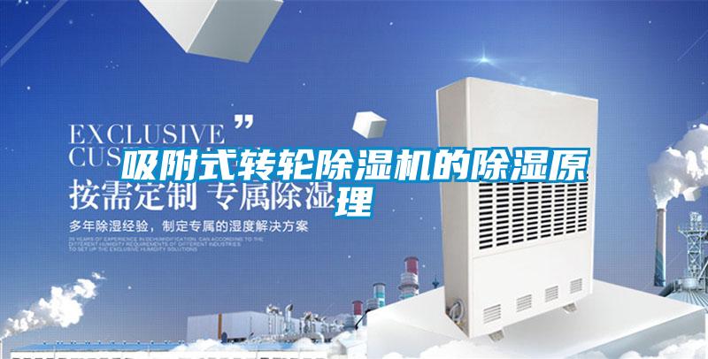 吸附式转轮麻豆视频黄网站的除湿原理