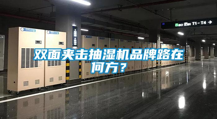 双面夹击抽湿机品牌路在何方？