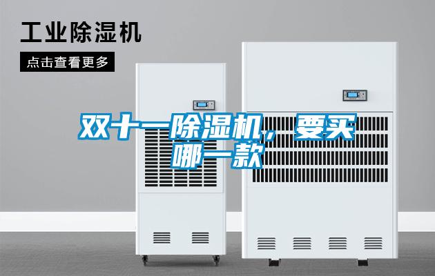 双十一麻豆视频黄网站，要买哪一款