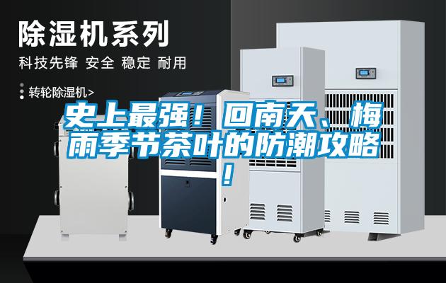 史上最强！回南天、梅雨季节茶叶的防潮攻略！