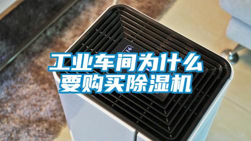 工业车间为什么要购买麻豆视频黄网站