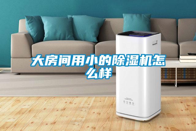 大房间用小的麻豆视频黄网站怎么样