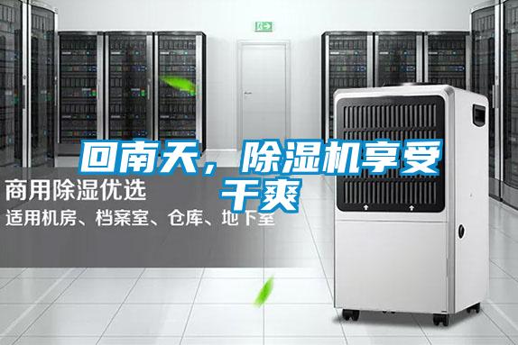 回南天，麻豆视频黄网站享受干爽