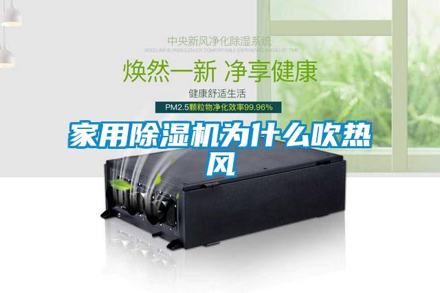 家用麻豆视频黄网站为什么吹热风